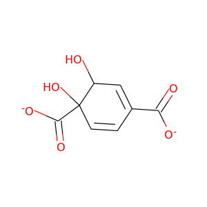 Terephthalate-1,2-cis-dihydrodiol