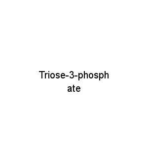 Triose-3-phosphate