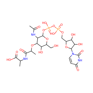 UDP-N-acetylmuramoyl-L-alanine