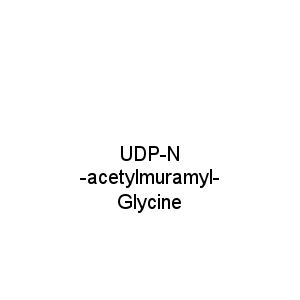 UDP-N-acetylmuramyl-Glycine