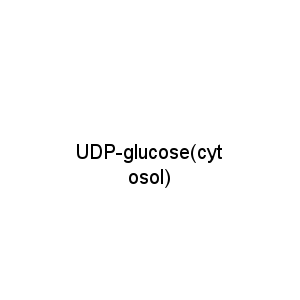 UDP-glucose(cytosol)