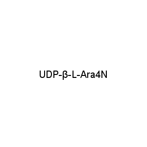 UDP-β-L-Ara4N