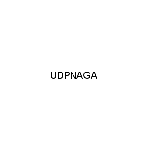 UDPNAGA