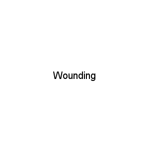 Wounding