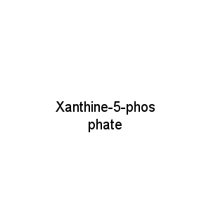 Xanthine-5-phosphate