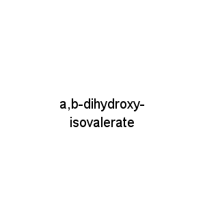 a,b-dihydroxy-isovalerate