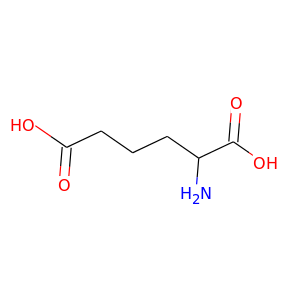 a-aminoadipate