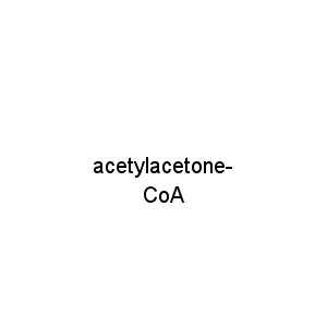 acetylacetone-CoA