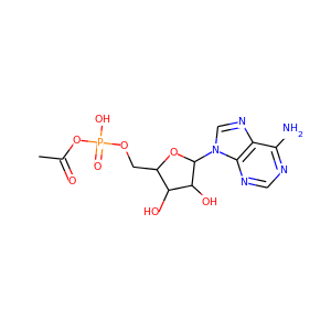 acetyladenylate