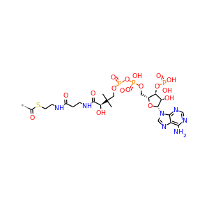 acyl-CoA