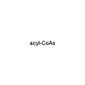 acyl-CoAs