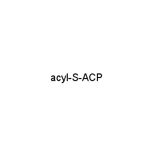 acyl-S-ACP