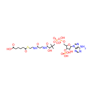 adipoyl-CoA
