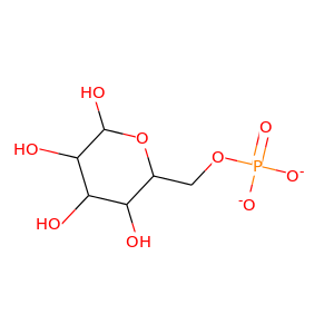 alpha-D-Glucose-6-P