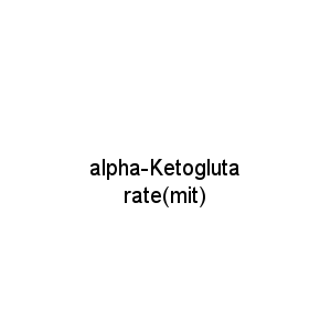 alpha-Ketoglutarate(mit)