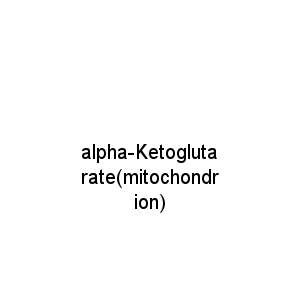 alpha-Ketoglutarate(mitochondrion)