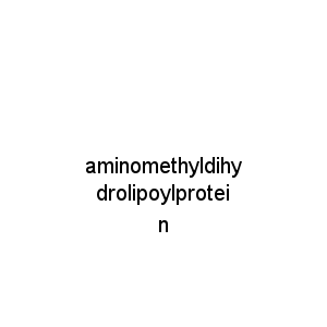aminomethyldihydrolipoylprotein