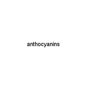 anthocyanins