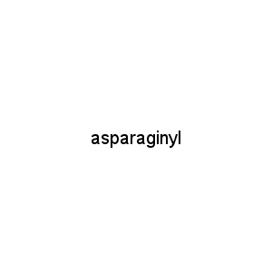 asparaginyl