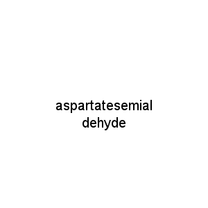 aspartatesemialdehyde
