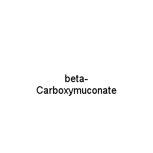 beta-Carboxymuconate