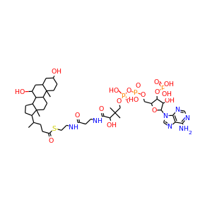 chenodeoxycholoyl-CoA