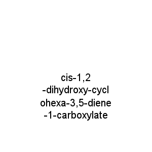 cis-1,2-dihydroxy-cyclohexa-3,5-diene-1-carboxylate