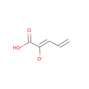 cis-2-hydroxypenta-2,4-dienoate