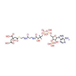 citryl-CoA