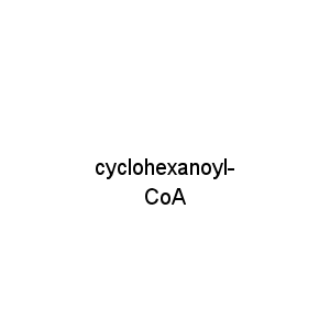 cyclohexanoyl-CoA