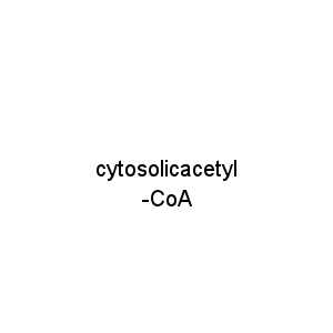 cytosolicacetyl-CoA