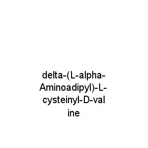 delta-(L-alpha-Aminoadipyl)-L-cysteinyl-D-valine