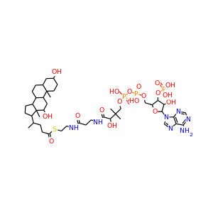 deoxycholyl-CoA