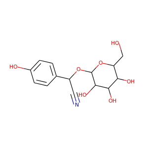 dhurrin