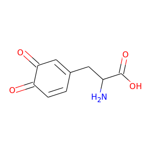 dopaquinone