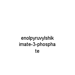 enolpyruvylshikimate-3-phosphate