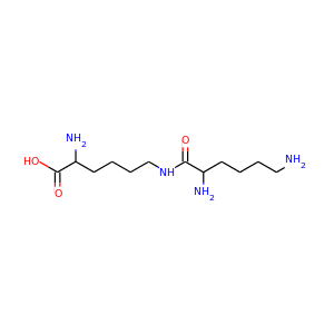 epsilon-poly-L-lysine