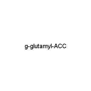 g-glutamyl-ACC