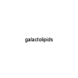 galactolipids
