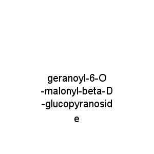 geranoyl-6-O-malonyl-beta-D-glucopyranoside