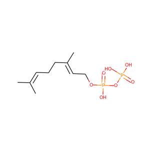 geranylpyrophosphate