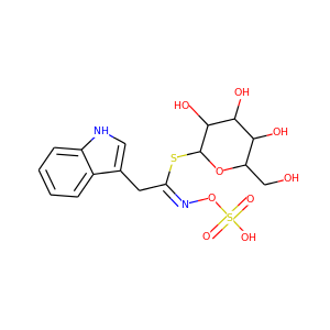 glucobrassicin