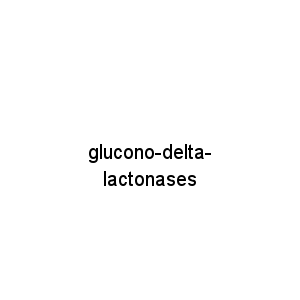 glucono-delta-lactonases