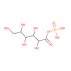 glucose-1-P