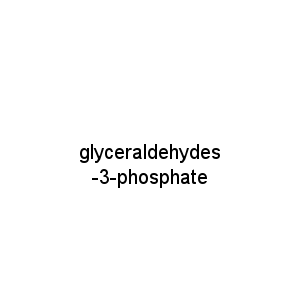 glyceraldehydes-3-phosphate