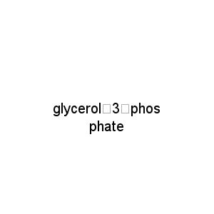 glycerol‑3‑phosphate