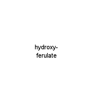 hydroxy-ferulate