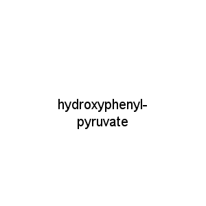 hydroxyphenyl-pyruvate