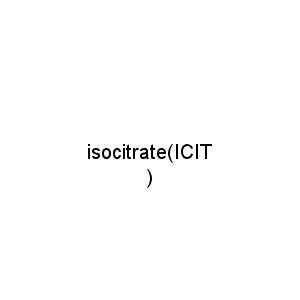 isocitrate(ICIT)