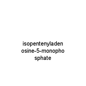 isopentenyladenosine-5-monophosphate